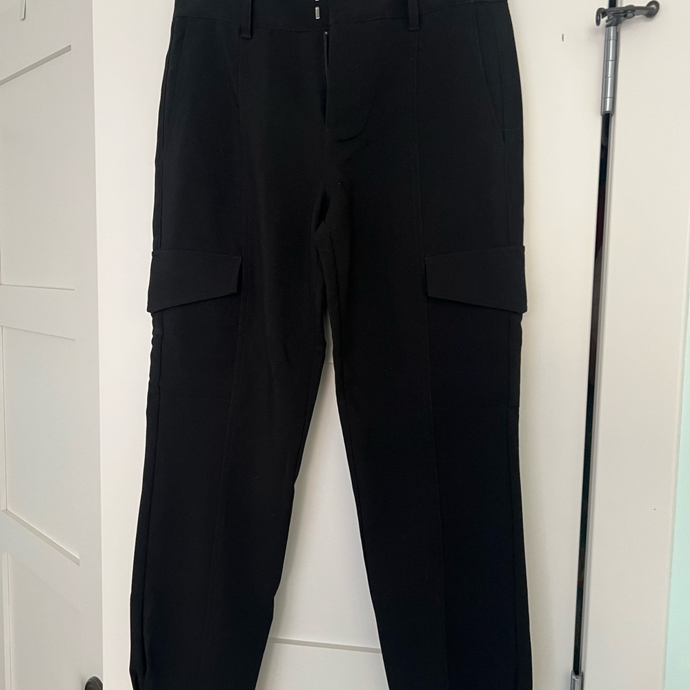 Sanctuary work pants